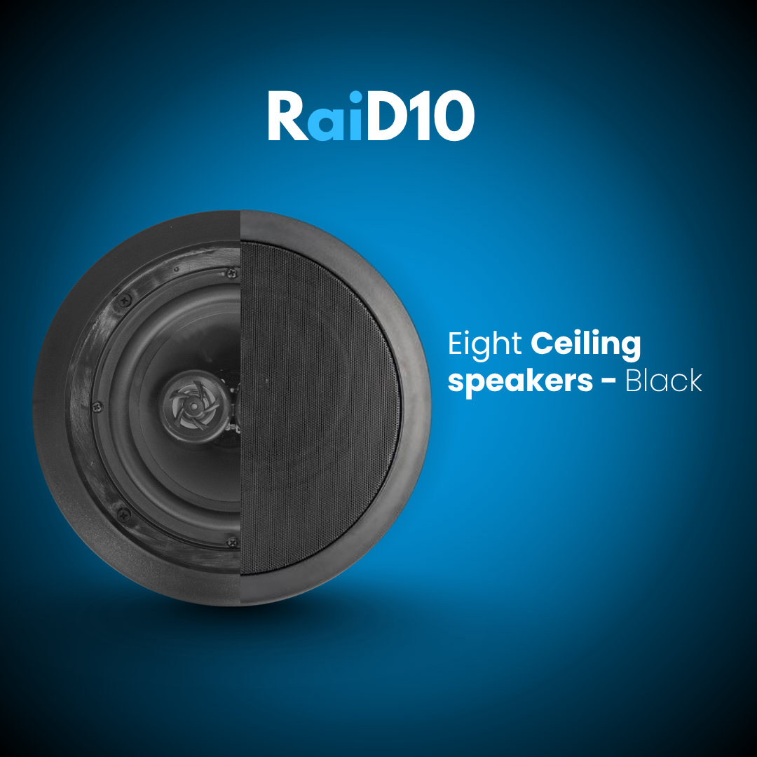 RaiD10 Audio Installation - Medium