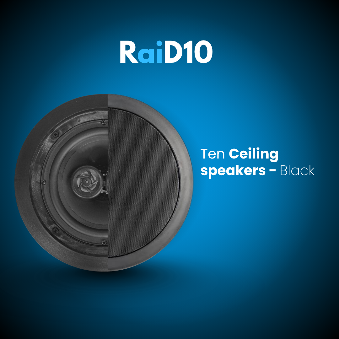 RaiD10 Audio Installation - Large